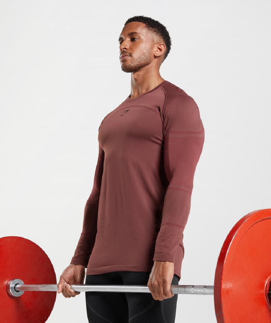 Long Sleeve Gymshark 315 Hombre Rosas Marrones | CO 3510DFM